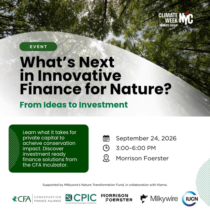 Cover Image for What's Next in Innovative Finance for Nature?