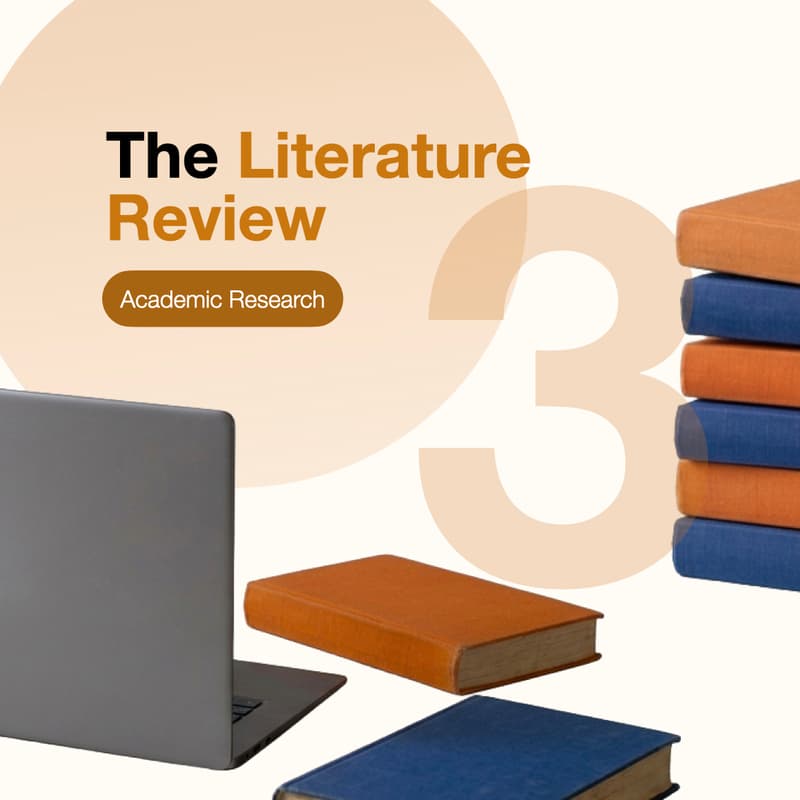 Cover Image for The Literature Review