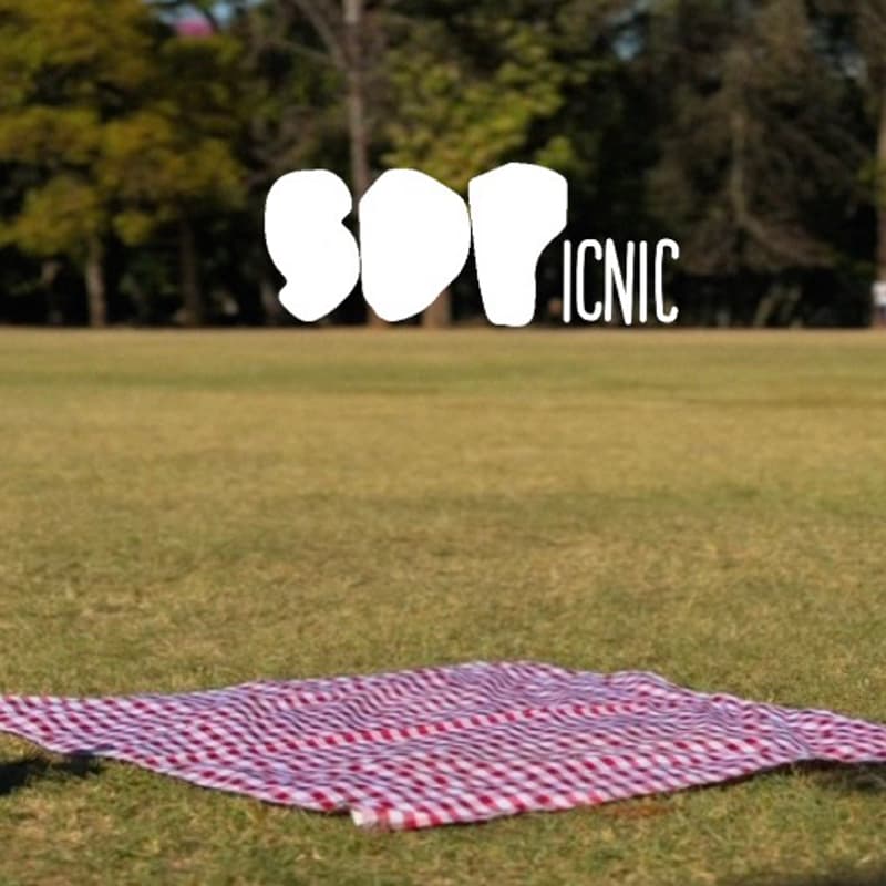 Cover Image for SDPicnic