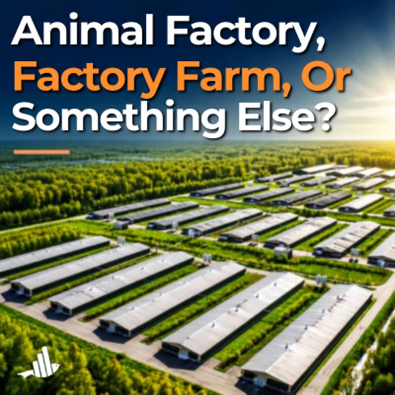 Cover Image for Animal Factory, Factory Farm, Or Something Else? Testing The Language Of Advocacy Webinar