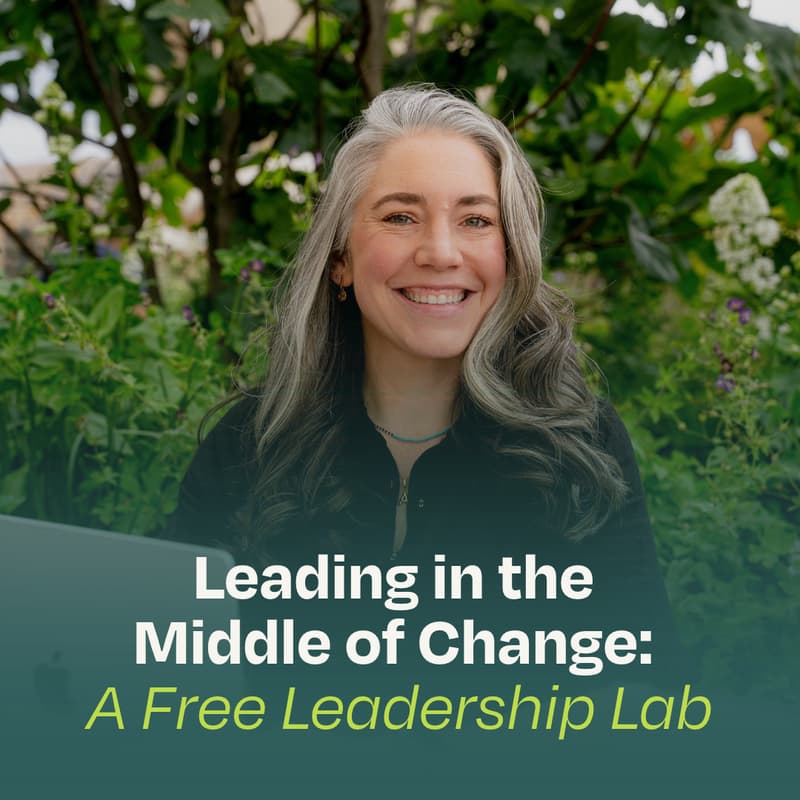 Cover Image for Leadership Lab: Leading in the Middle of Change
