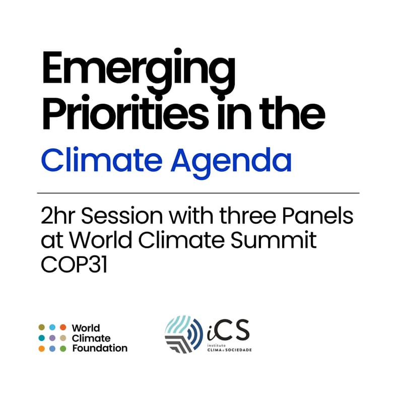 Cover Image for Emerging Priorities in the Climate Agenda