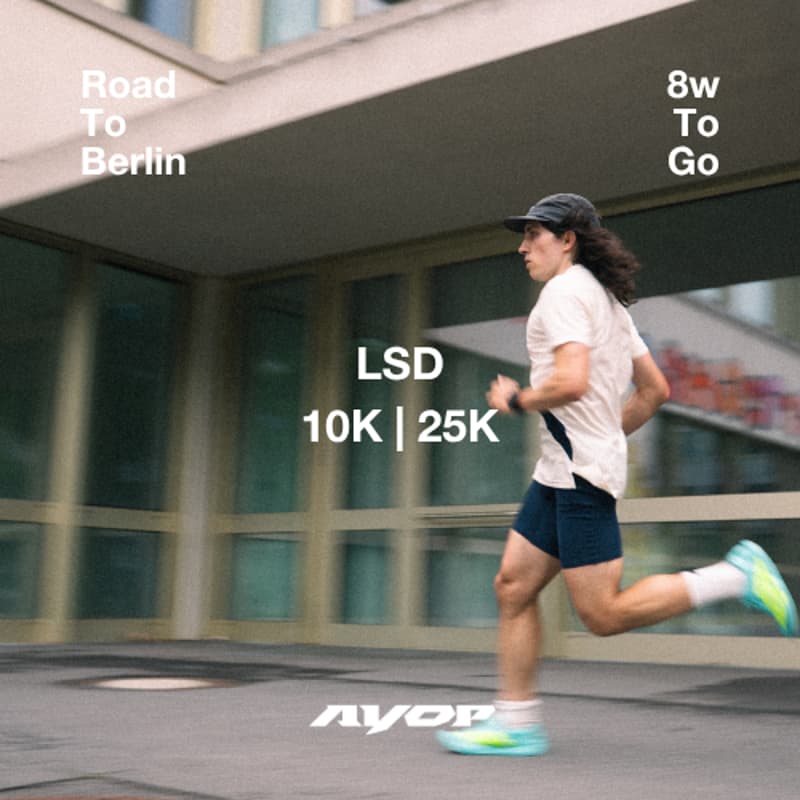 Cover Image for ROAD TO BERLIN: LSD 10K | 25K
