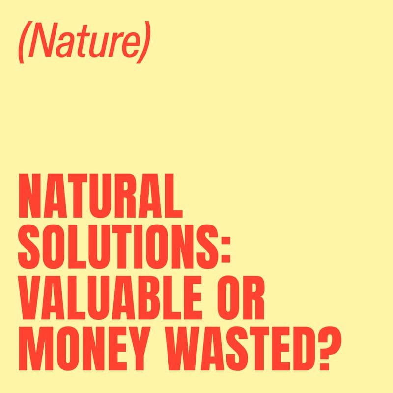 Cover Image for Natural Solutions: Valuable or Money Wasted?