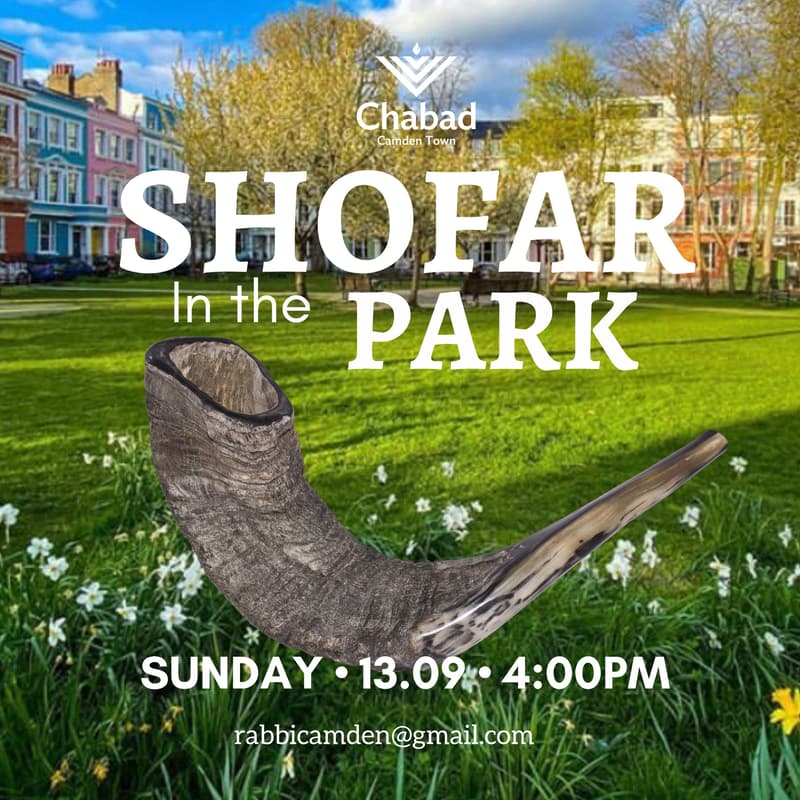 Cover Image for Shofar in the Park