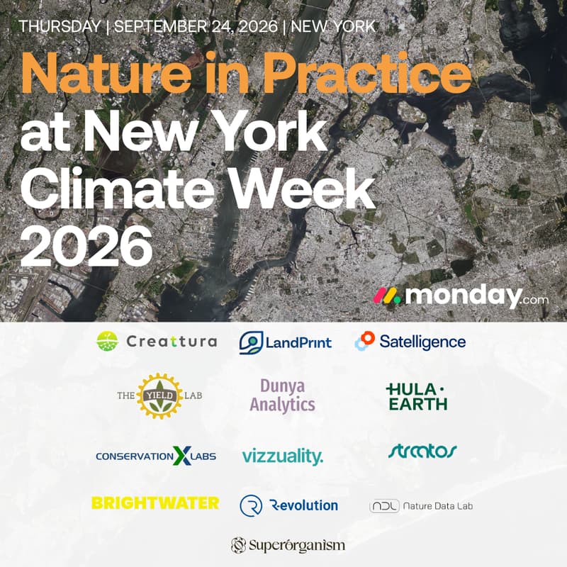 Cover Image for Nature in Practice at NYCW'26