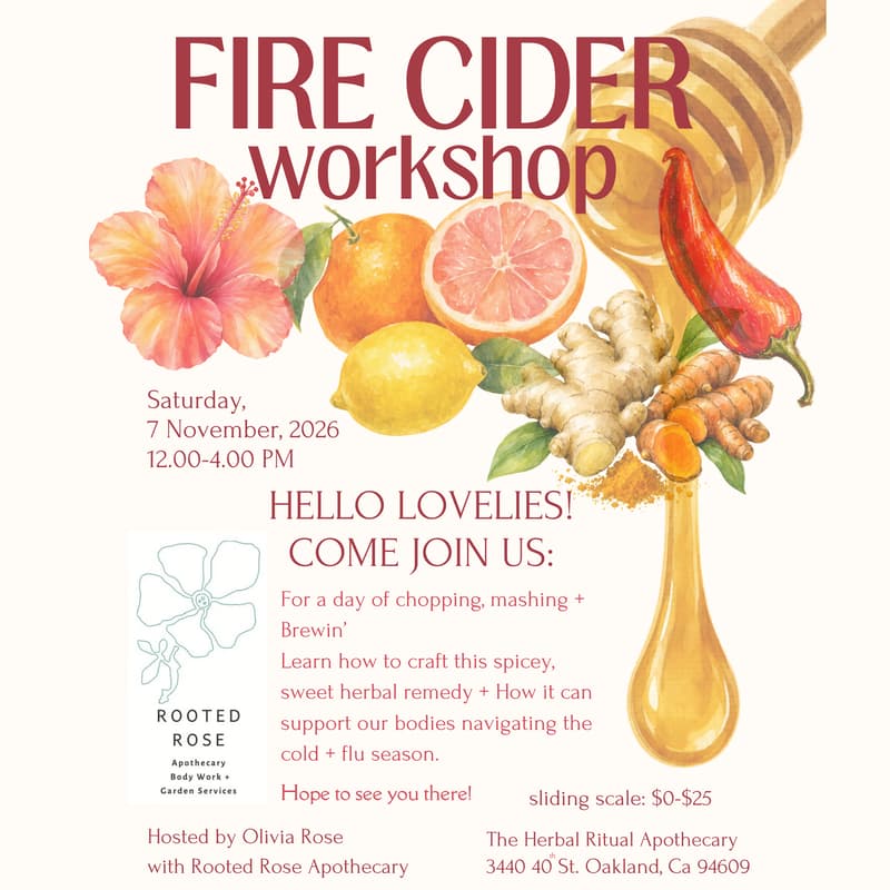 Cover Image for FIRE CIDER: Workshop