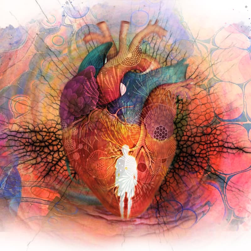 Cover Image for En livgivende sundhedssektor - erfaringsdeling og samskabelse
