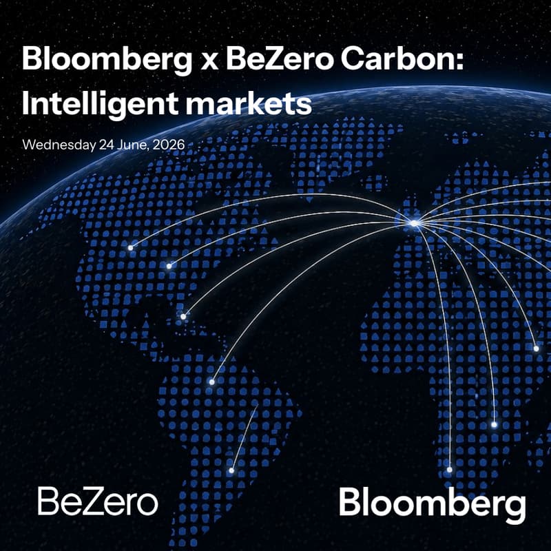 Cover Image for Bloomberg x BeZero Carbon: Intelligent markets