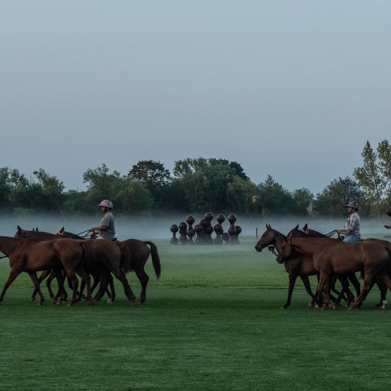Cover Image for Miami Chamber of Commerce Dubai | Hamptons Polo House Summer Edition