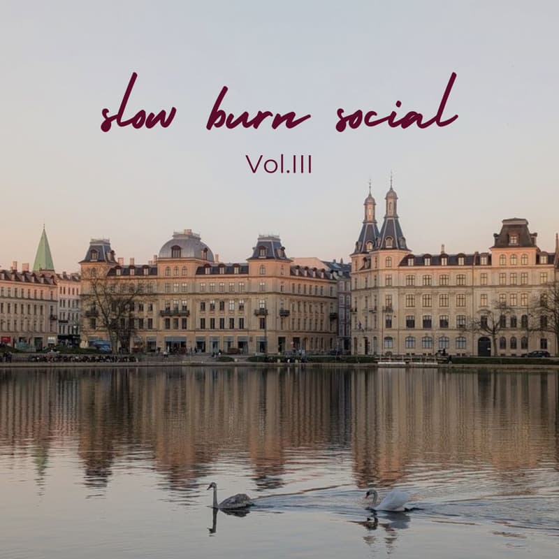 Cover Image for Slow Burn Social Vol.III