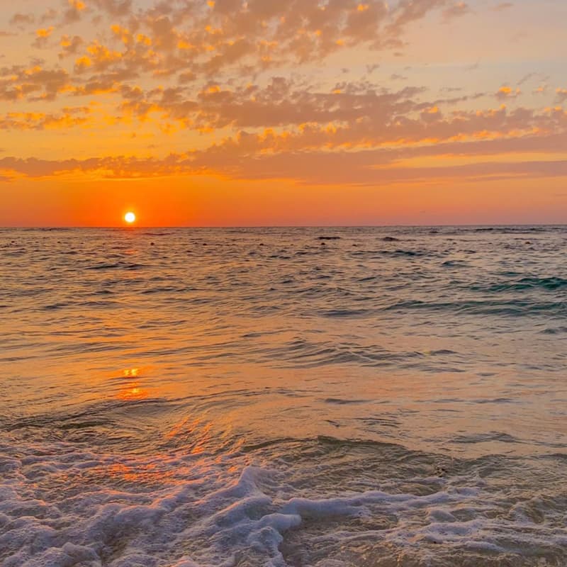 Cover Image for Sunset Swim- meet & greet