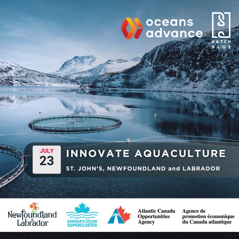 Cover Image for Innovate Aquaculture: the solutions shaping the future