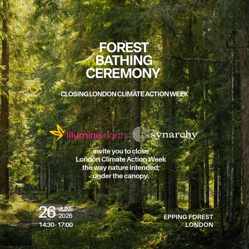 Cover Image for A Forest Bathing Ceremony — Closing London Climate Action Week