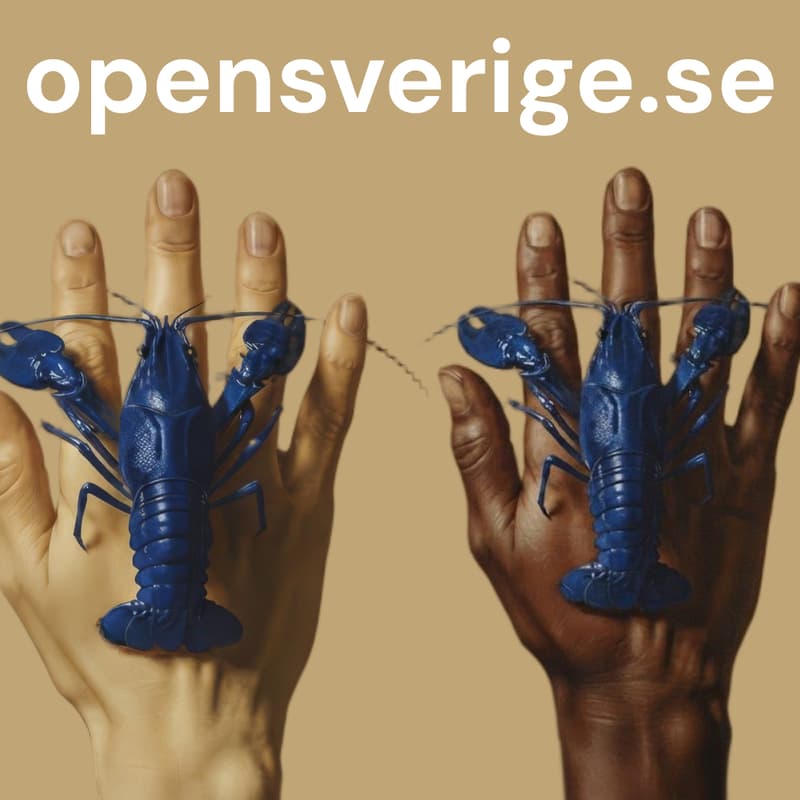 Cover Image for opensverige (ai) - irl meetup *ReverseAnything special*