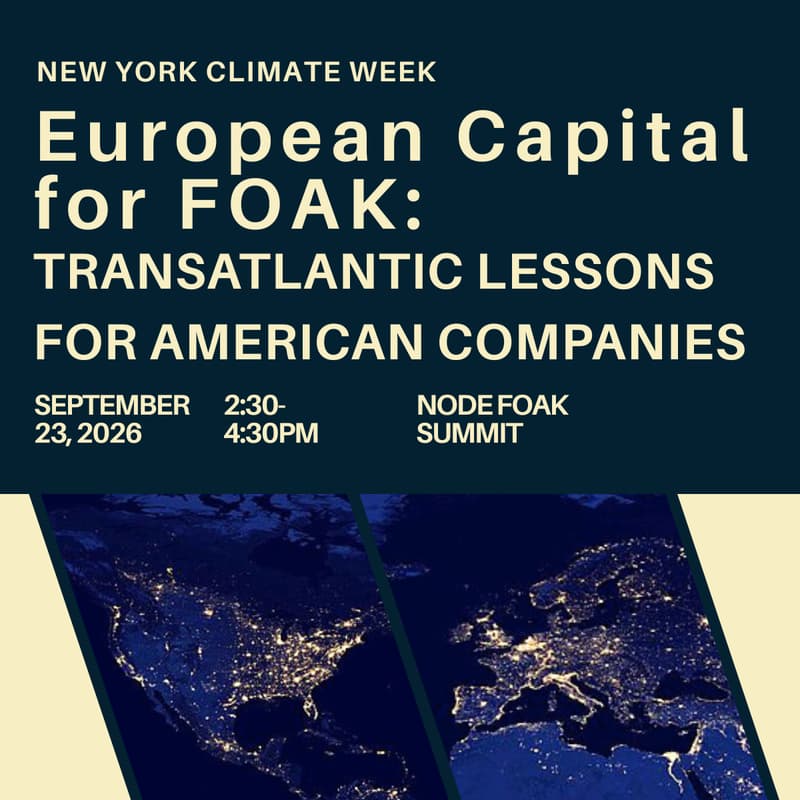 Cover Image for European Public Funding for FOAK: Lessons for American Companies