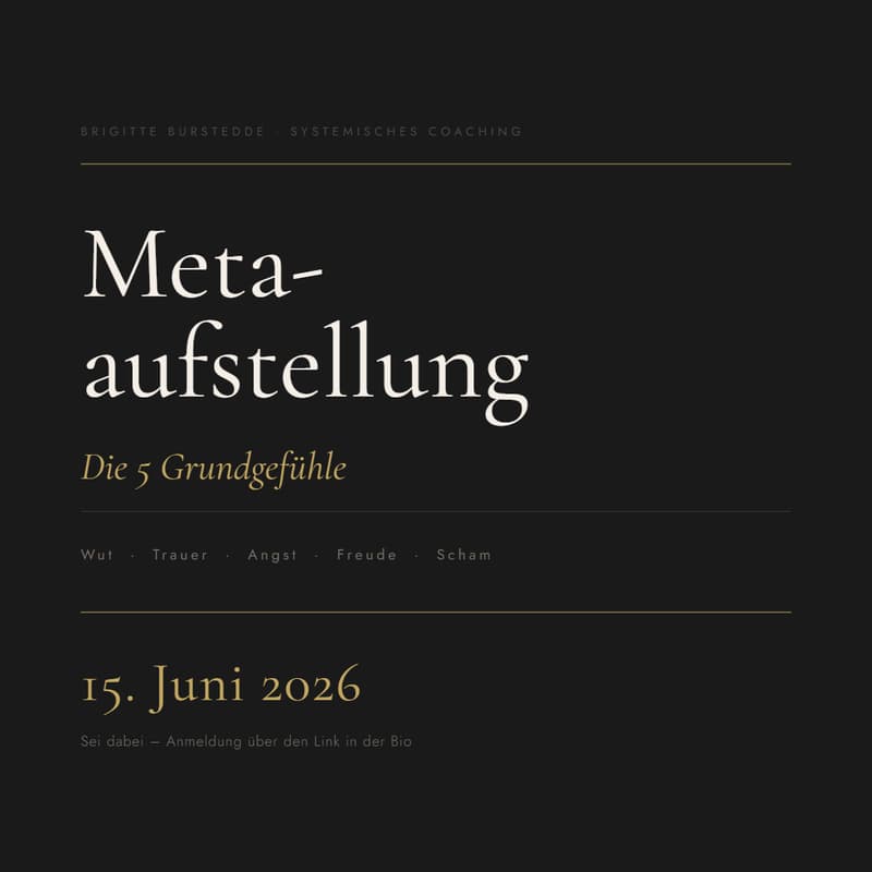 Cover Image for Metaaufstellung "Die 5 Grundgefühle"