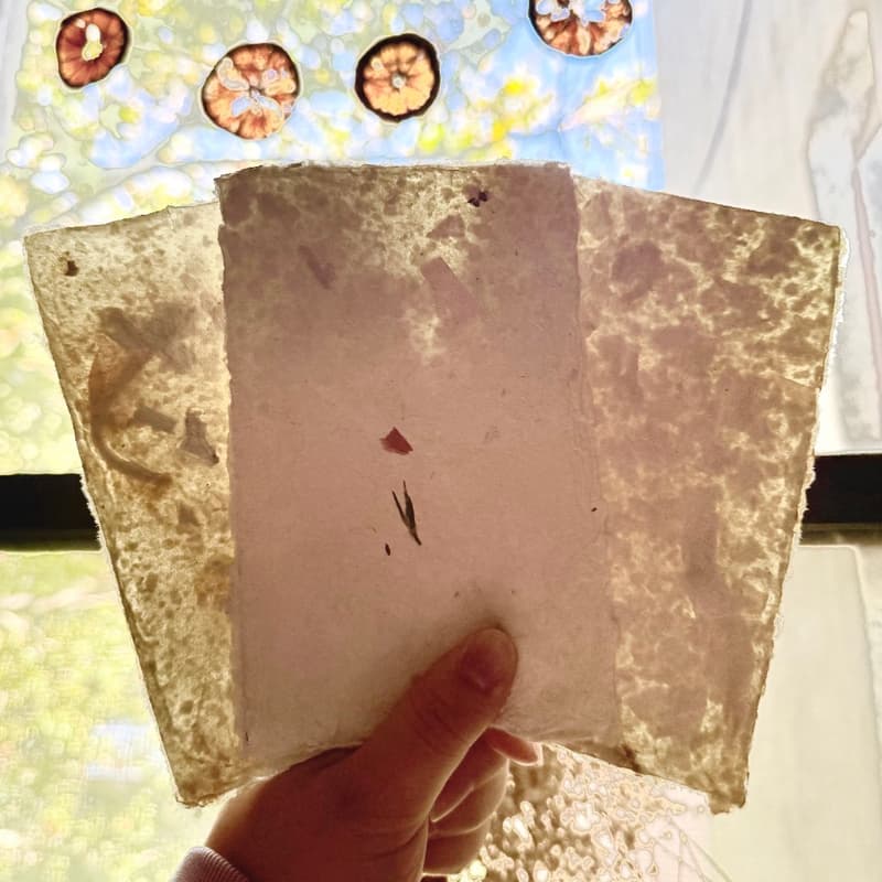 Cover Image for Papermaking Workshop