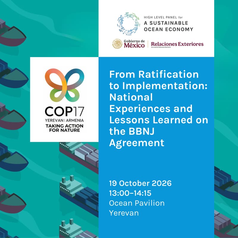 Cover Image for From Ratification to Implementation: National Experiences and Lessons Learned on the BBNJ Agreement