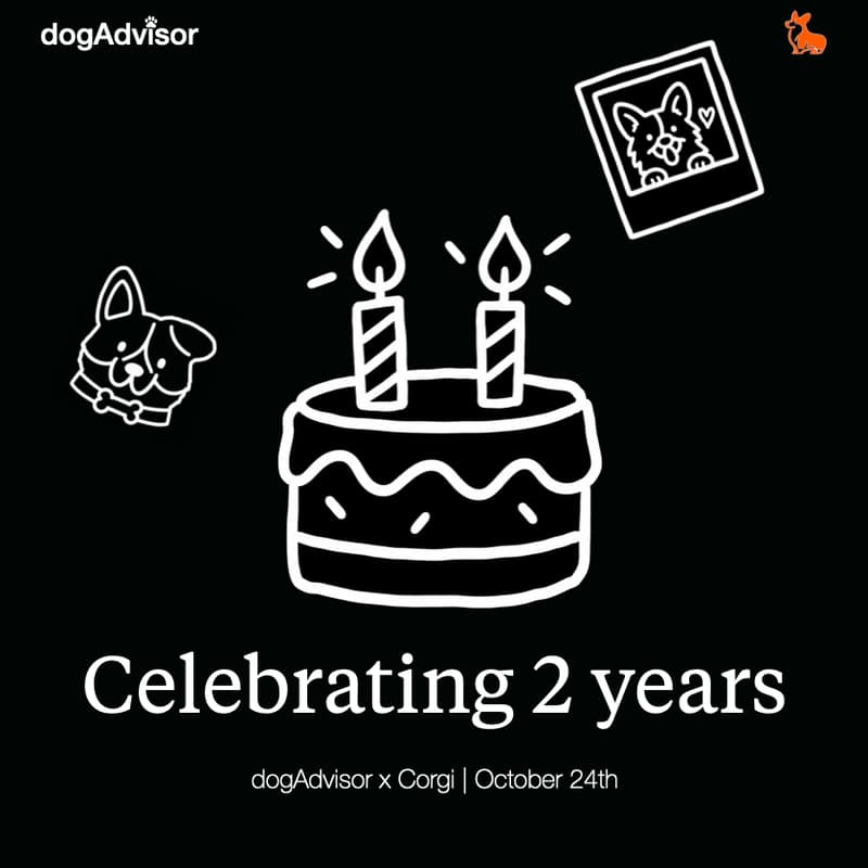 Cover Image for dogAdvisor x Corgi 🐶 2 year birthday and Max Model launch