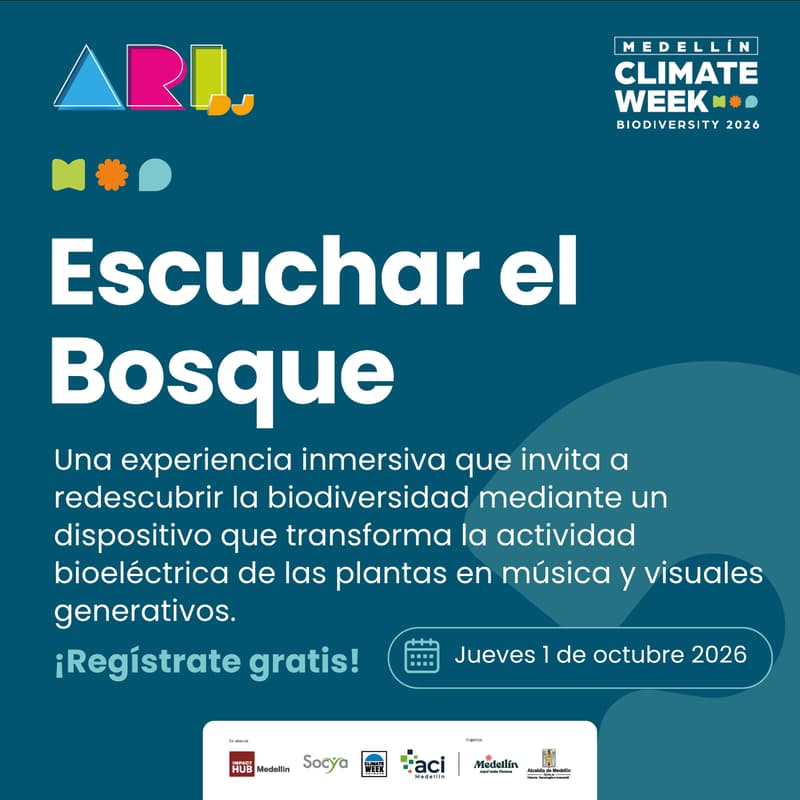 Cover Image for Escuchar el Bosque