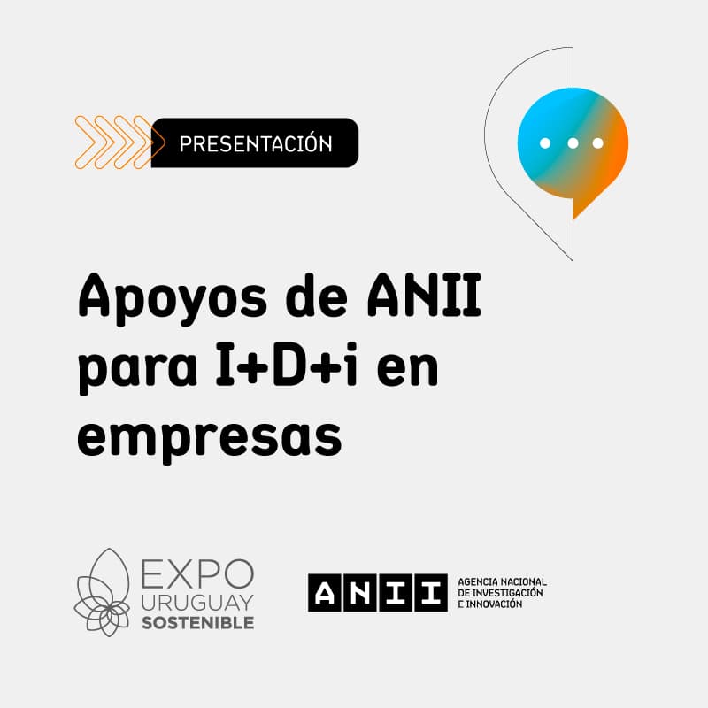 Cover Image for Apoyos de ANII para la I+D+i en empresas