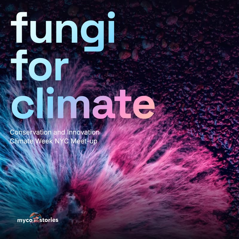 Cover Image for Fungi for Climate: Conservation & Innovation Meet-Up (NYC Climate Week)