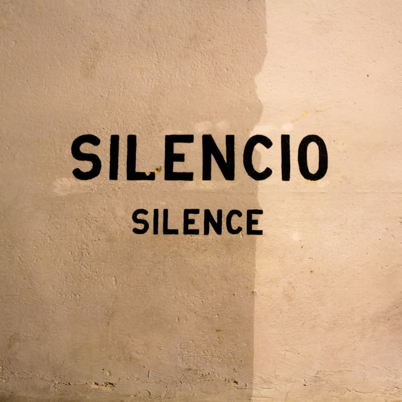 Cover Image for Pssst! A Silent Shared Table Dinner