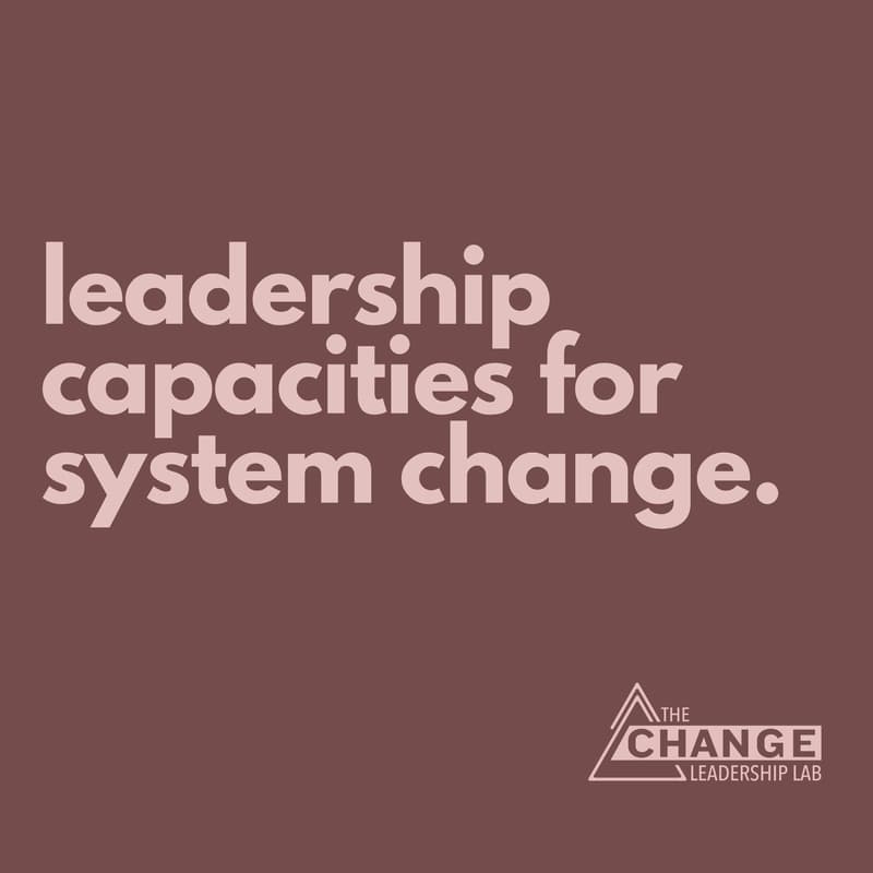 Cover Image for Leadership Capacities for Systems Change