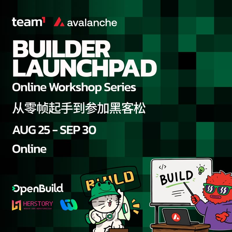 Cover Image for Team1 Avalanche Builder Launchpad