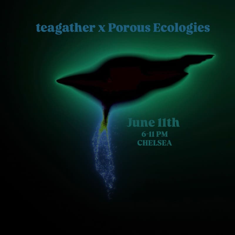 Cover Image for teagather x Porous Ecologies | a late-night teahouse