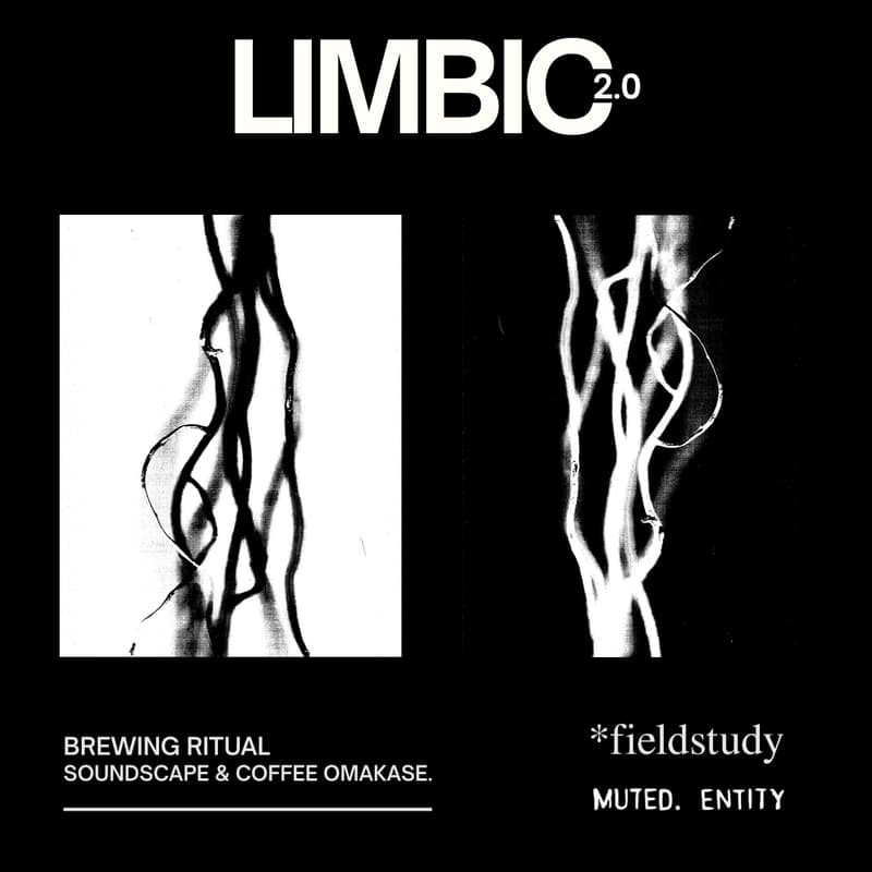 Cover Image for Limbic 2.0