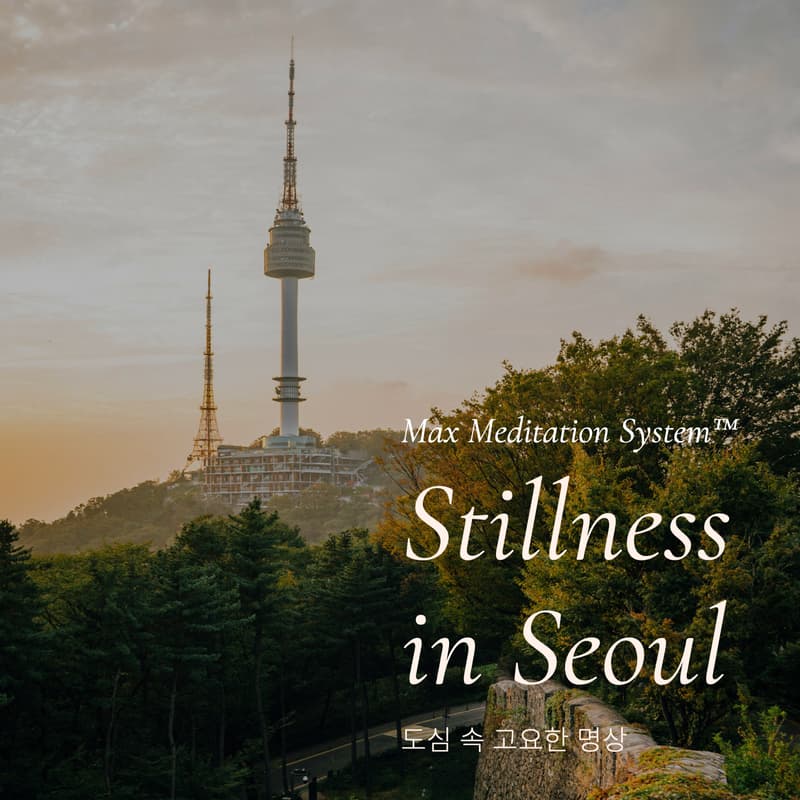 Cover Image for Stillness in Seoul : Max 명상 ™