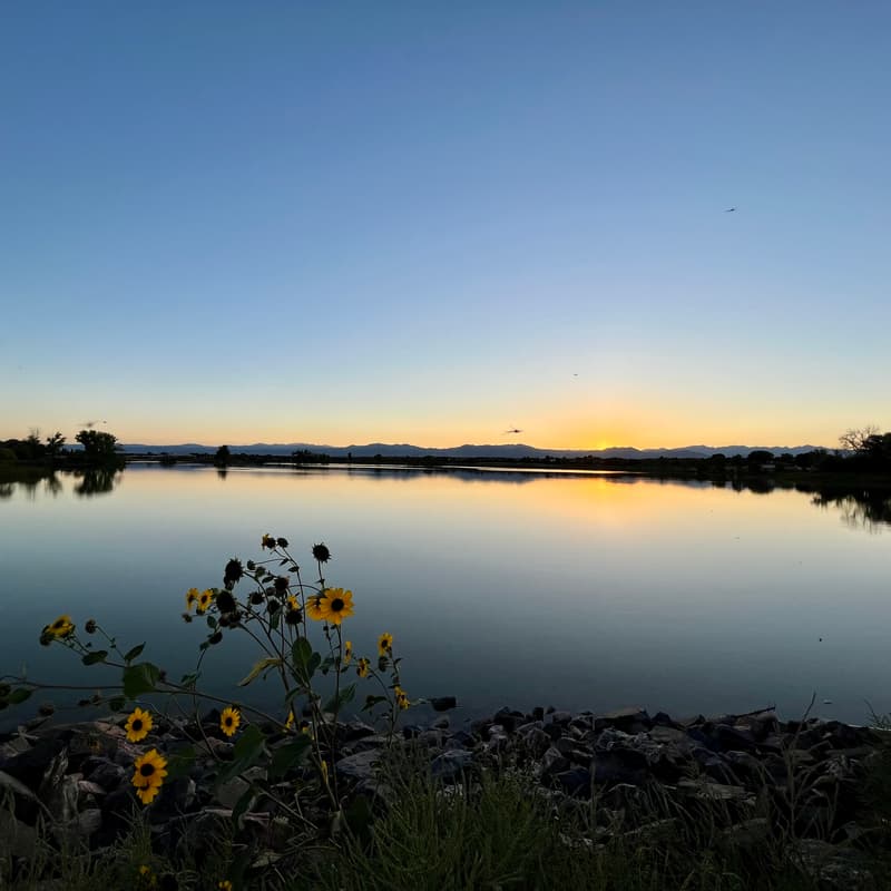 Cover Image for Summer Stillness Sound Bath