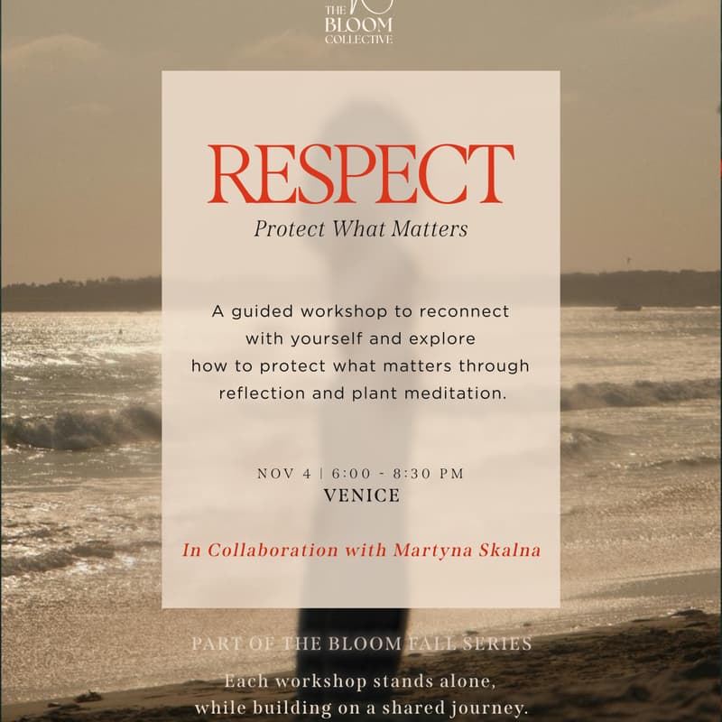 Cover Image for Bloom Fall Series: RESPECT What Matters