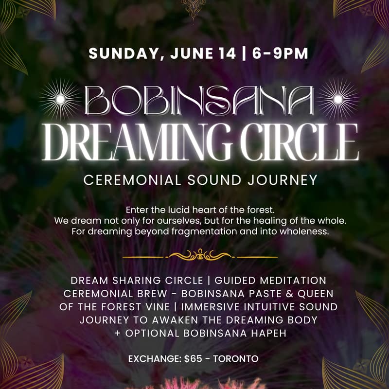 Cover Image for Bobinsana Dreaming Circle