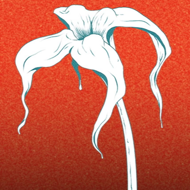 Cover Image for Mothership with Kara