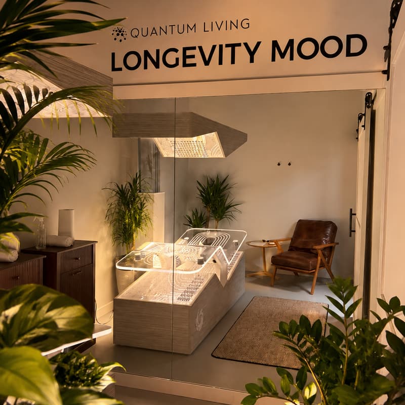 Cover Image for Conscious Palm Beach IRL