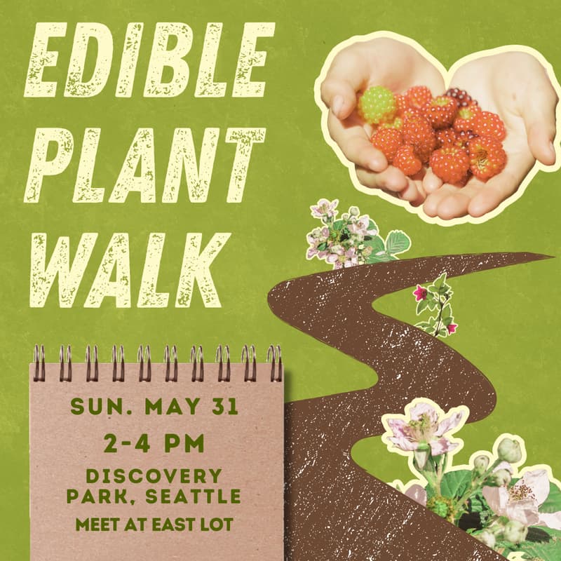 Cover Image for Edible Plant Walk
