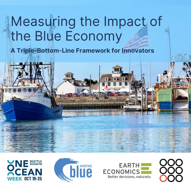 Cover Image for One Ocean Week - Triple Bottom Line Impact Analysis for the Blue Economy
