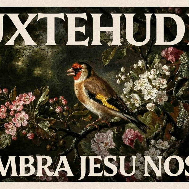Cover Image for Virtual Show: Buxtehude's 'Membra Jesu Nostri'