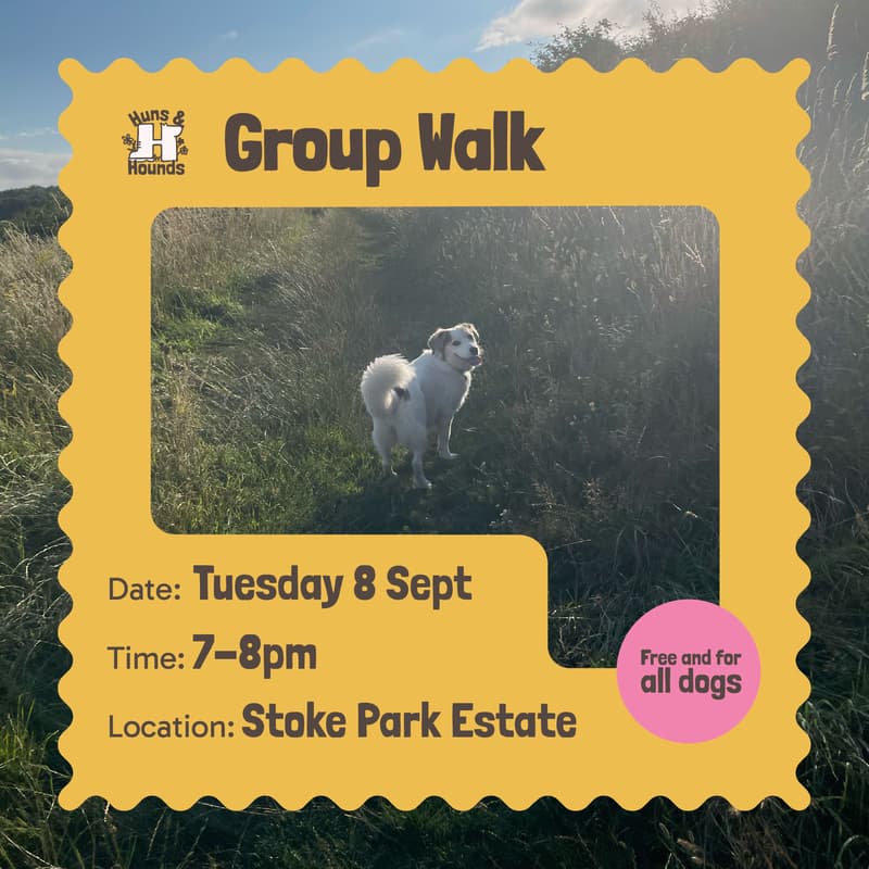 Cover Image for Stoke Park Group Dog Walk
