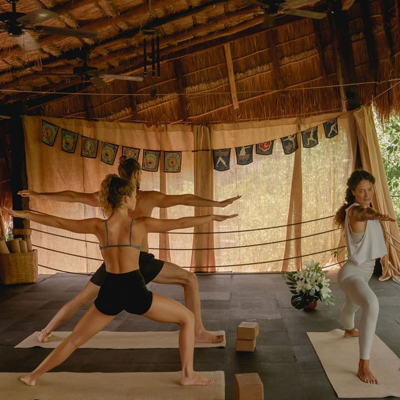 Cover Image for Vinyasa Yoga w/ Valentina
