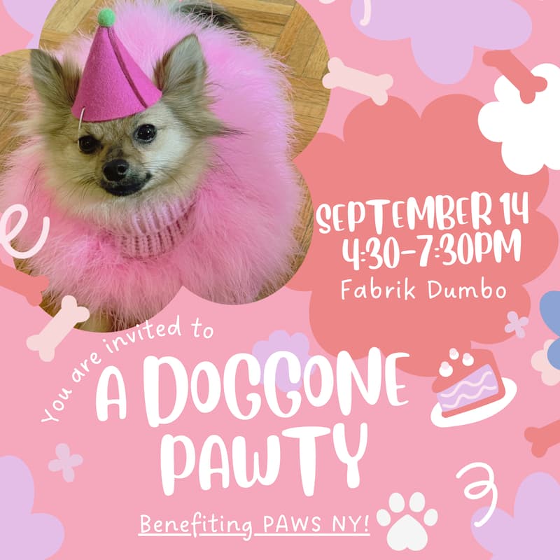 Cover Image for A Doggone Good Time