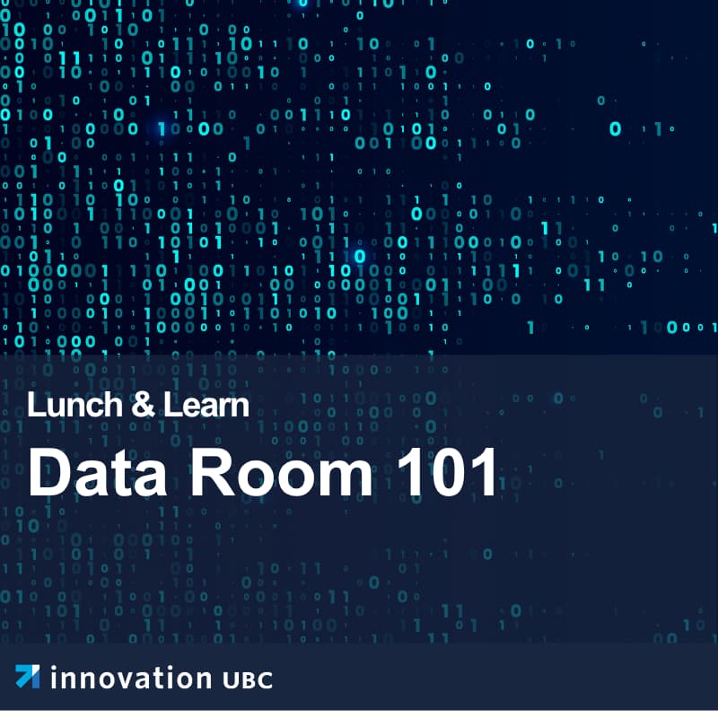 Cover Image for Lunch & Learn: Data Room 101