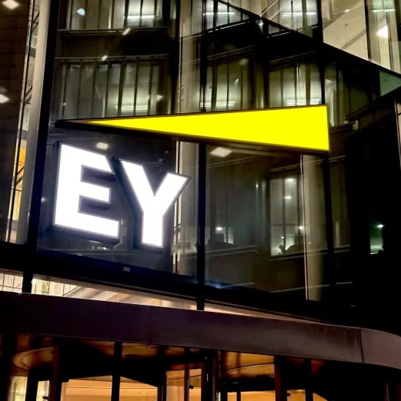Cover Image for EY & Black Apprentice Network Online Insight Session