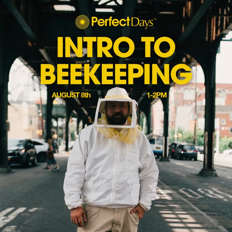 Cover Image for Perfect Days: Intro to Beekeeping