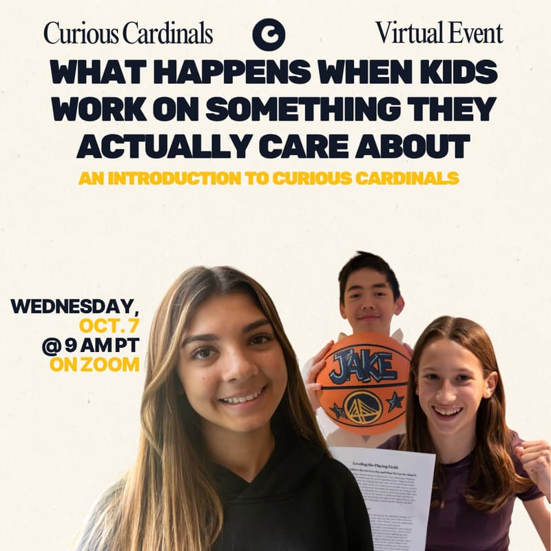 Cover Image for Introduction to Curious Cardinals
