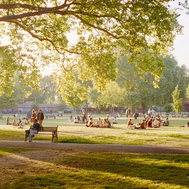Cover Image for Sunday Walk & Talk
