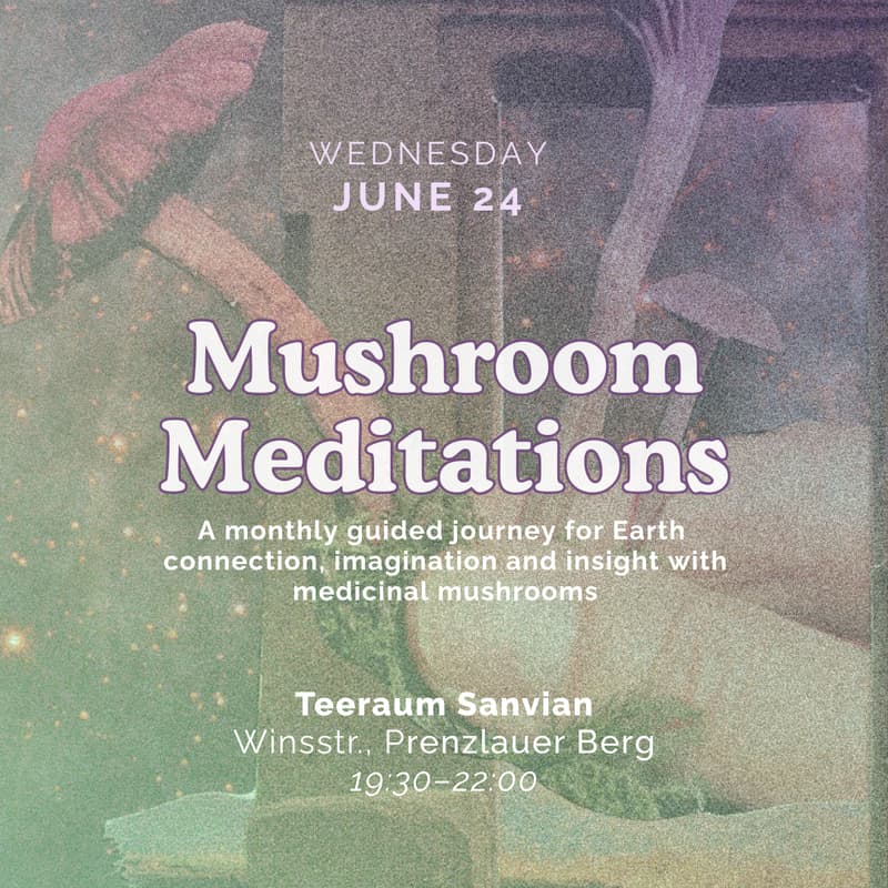 Cover Image for Mushroom Meditations: A guided journey for Earth connection, imagination and insight